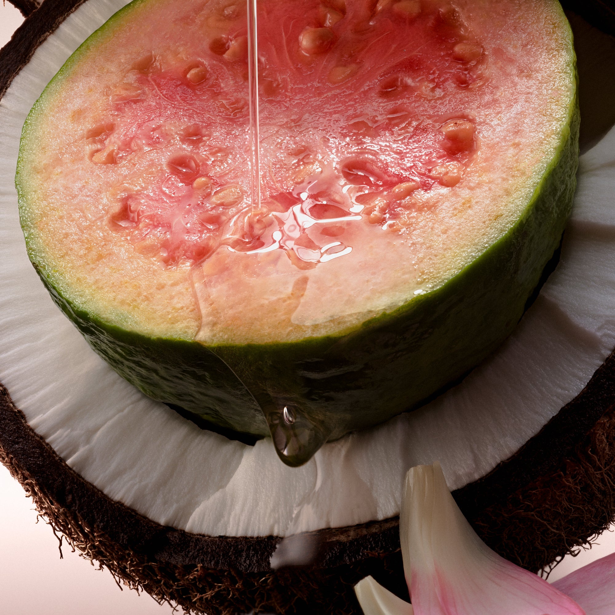 Coral Coast Body Scrub 8